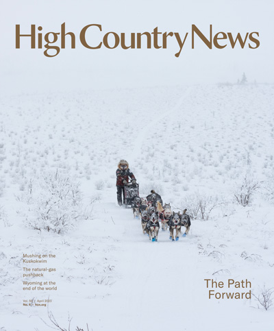 Richie Diehl, a musher and racer, on a training run near his home in Aniak, Alaska. “In my opinion, I think it’s a pretty supportive region,” Diehl said. “We compete with each other and when we compete with each other, we make each other better.”