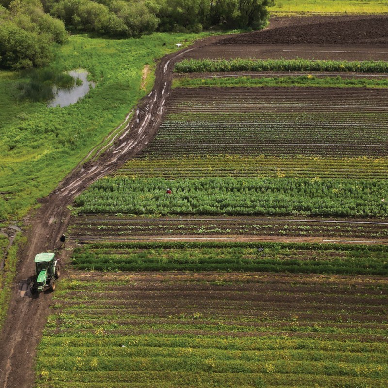 After historic floods, the safety net failed small farmers
