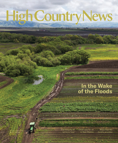 August 2024: In the Wake of the Floods