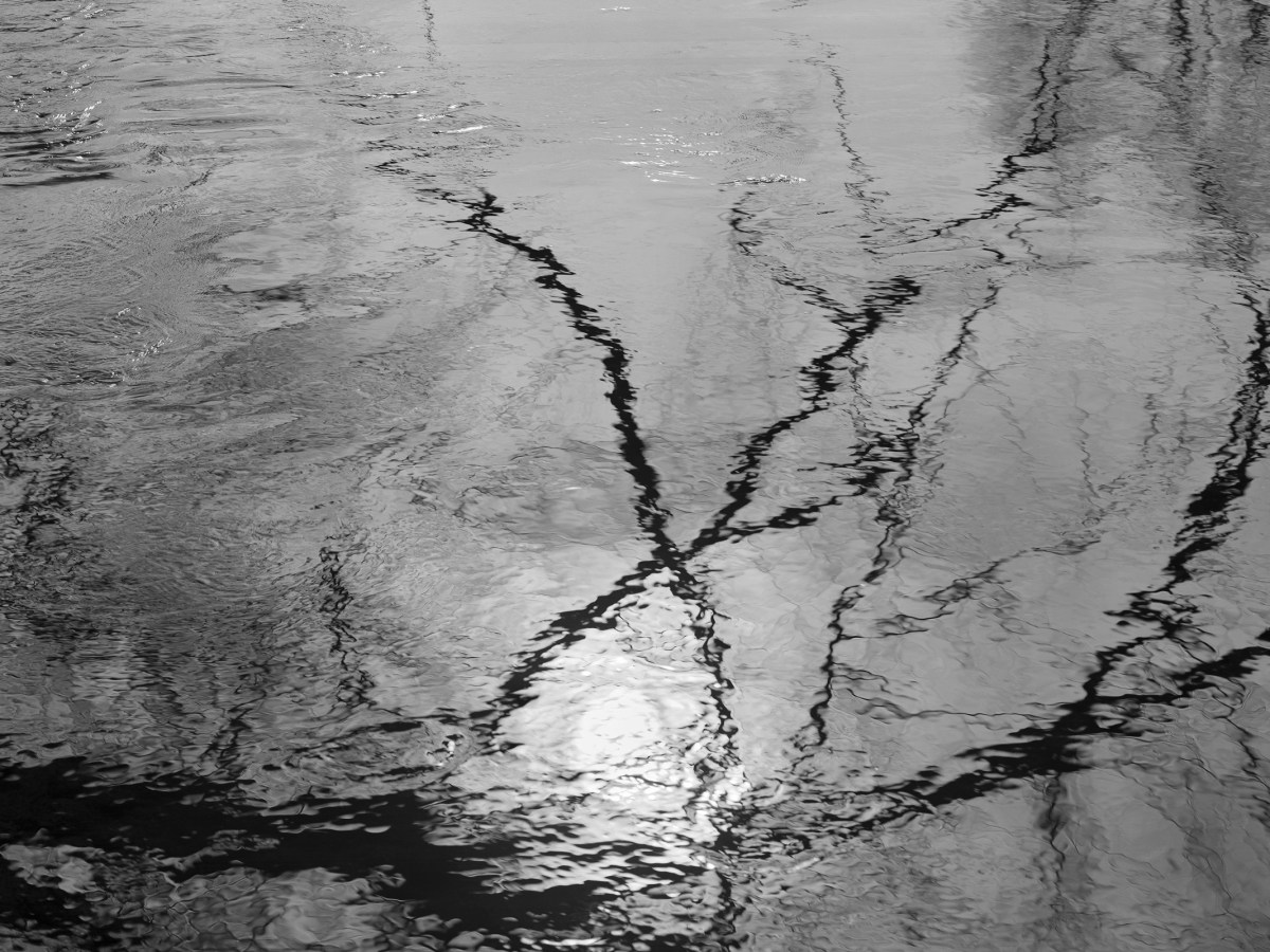 Cache la Poudre River, Colorado, from the series Stillwater. Gelatin silver print, 2000.
