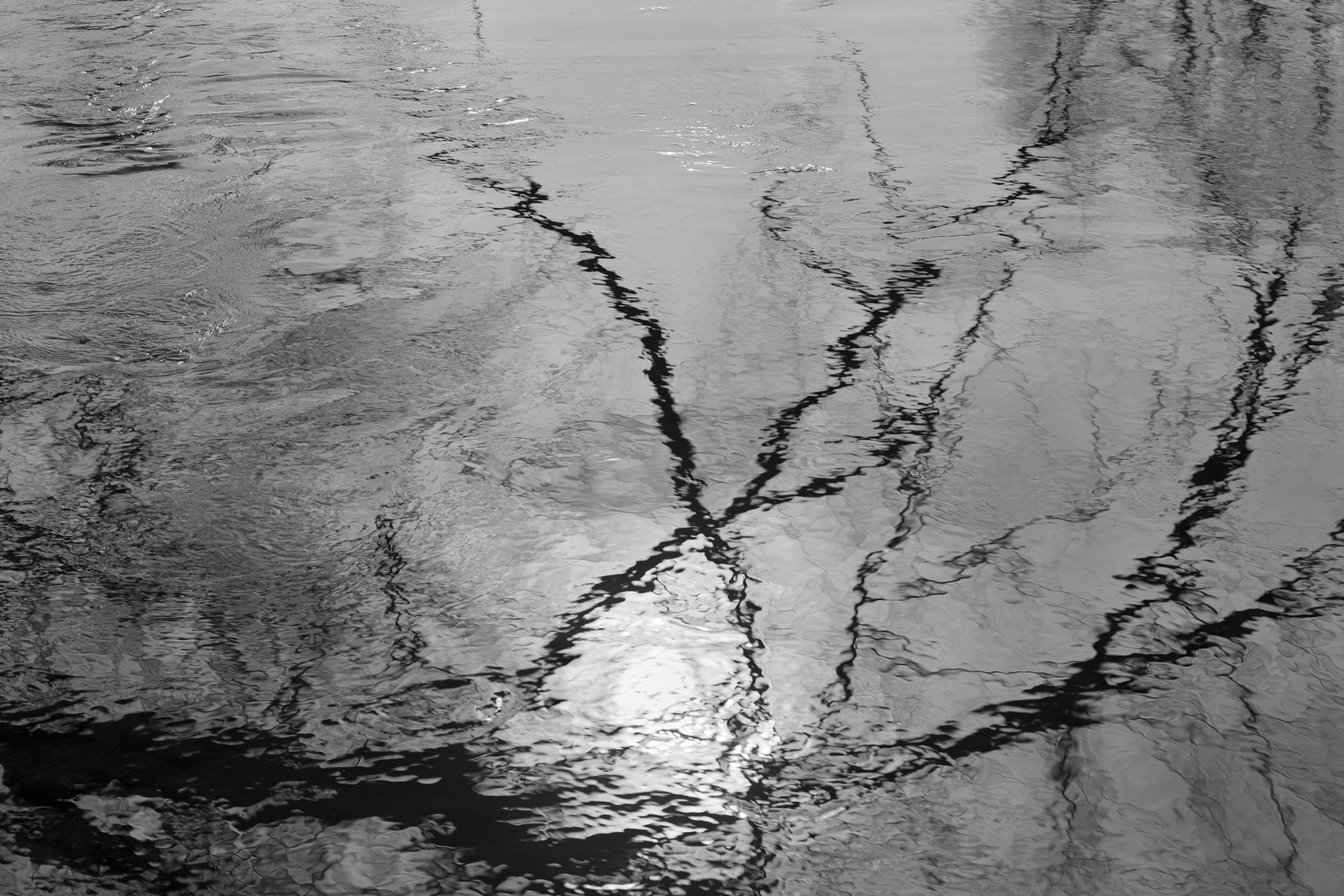 Cache la Poudre River, Colorado, from the series Stillwater. Gelatin silver print, 2000.