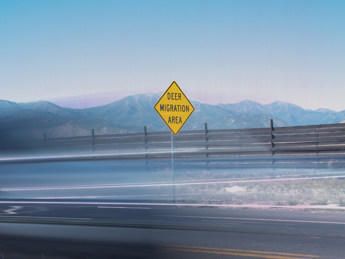 Cars speed past wildlife fencing just west of Eagle Mountain, Utah.
