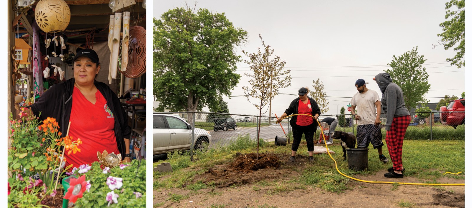 Yadira Sanchez takes a break in her front yard while helping neighbors select a tree (left). Sanchez waters a sapling during a community tree-planting event in June (right).