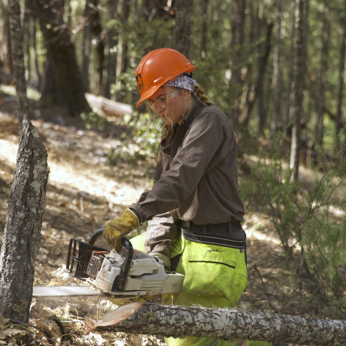 Is your community ready for a wildfire?