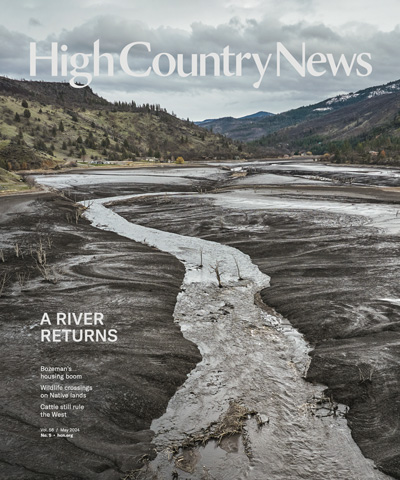 The Klamath River’s new main channel flows through the landscape that emerged when the Copco Reservoir was drawn down. The area was submerged for more than 100 years behind Copco Number 1 Dam.