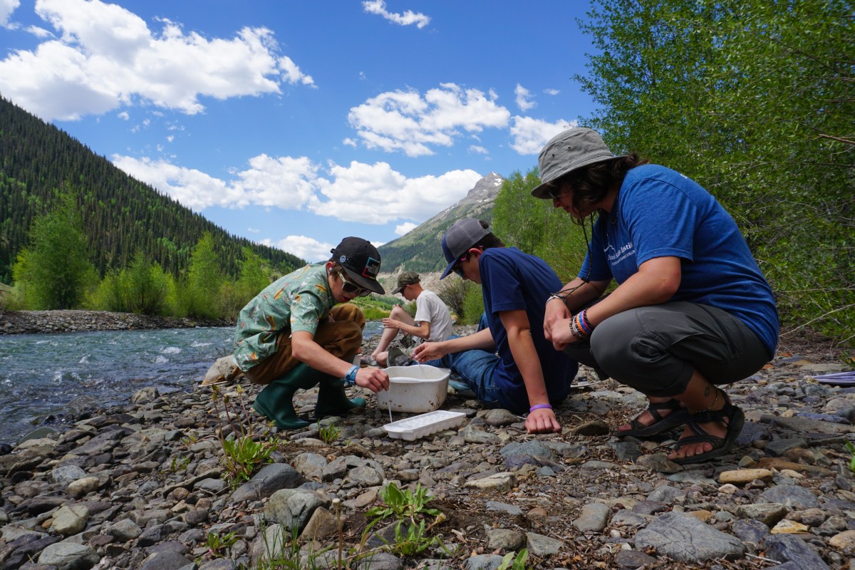 Collaborating to create more resources for rural students