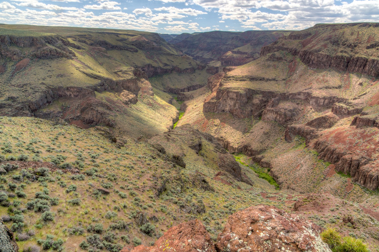 Little Jacks Creek Wilderness in Owyhee County, Idaho.