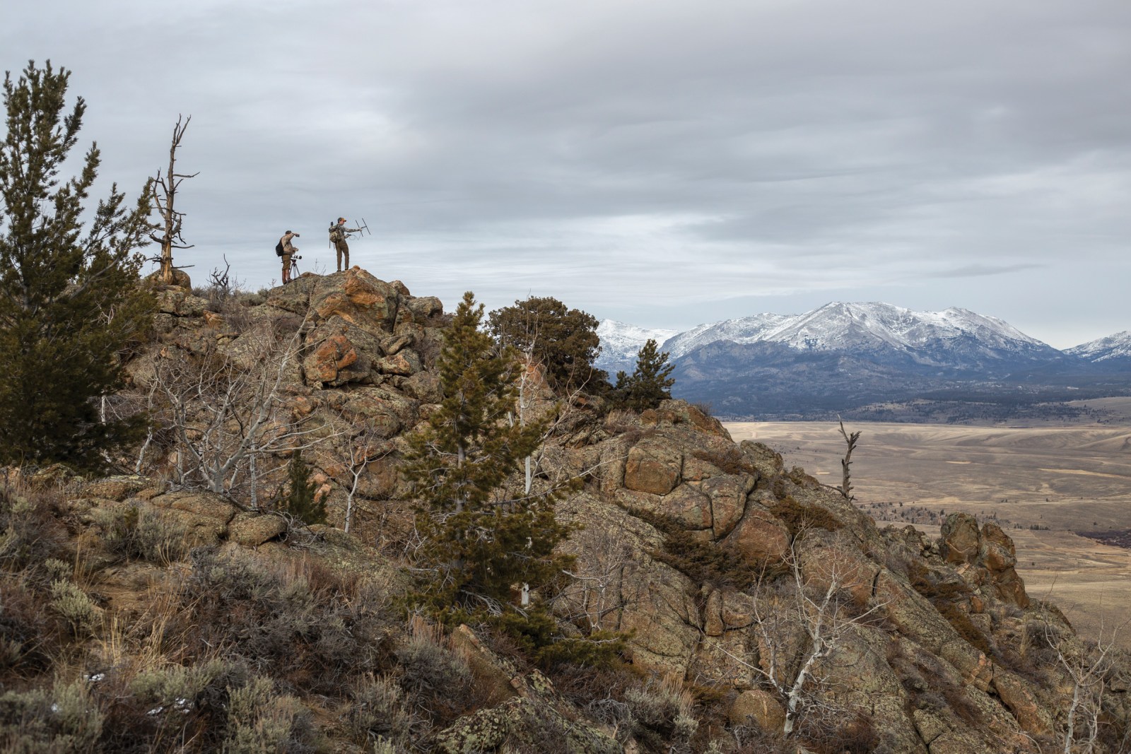 Greg Nickerson and Luke Wilde of the Wyoming Migration Initiative use a VHF telemetry antenna to search for Deer 255 in late November, high in Wyoming’s Prospect Mountains. The notoriously elusive deer wowed researchers after making a nearly 250-mile migration from Island Park, Idaho, to Wyoming’s Red Desert.