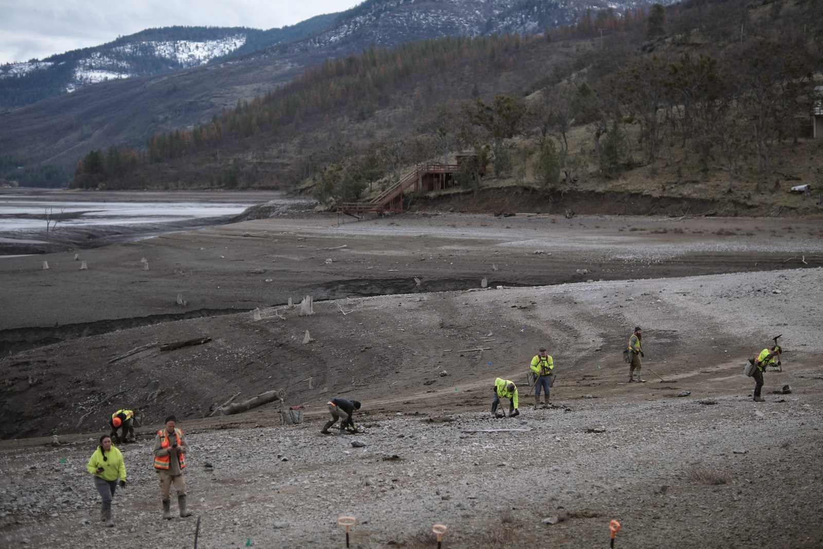 Work crews plant native species along the freshly exposed banks of the former Copco Reservoir outside of Hornbrook, California, in February.