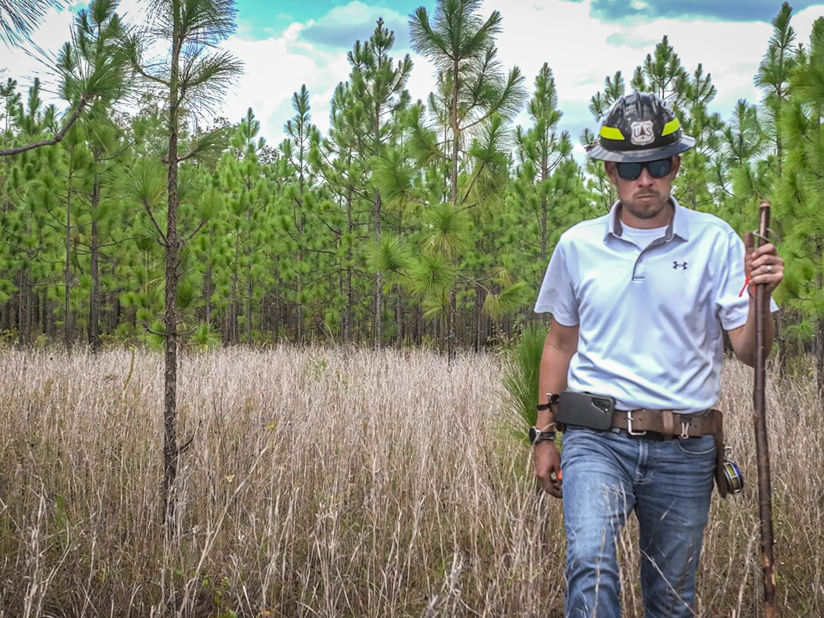 Forest Technician Jacob Floyd studies Longleaf Pine on Palustris Experimental Forest, part of the Kisatchie National Forest in Louisiana in October 2023. The U.S. Forest Service manages 173 million acres of land and is proposing that some land under its forests be used to store carbon captured from industries to prevent it from being released into the atmosphere.